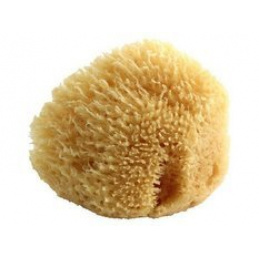 Naravna morska goba POUPY