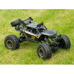 Aga RC avto Rock Crawler 2.4GHz 1:8 51 cm črna