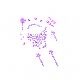 Aga4Kids Samolepilni kamni DS8113V