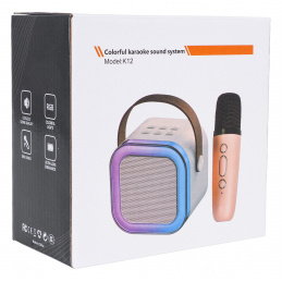 Karaoke Mikrofon in Zvočnik Set