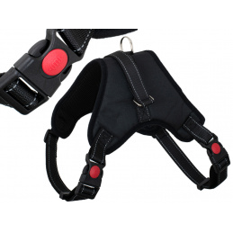 Aga Odsevni Pas za pse velikost L