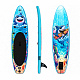 Aga Otroški paddleboard DS2215 250x60x10 cm