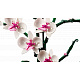 LEGO® Botanicals 10311 Orchidej