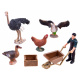 Set figuric živali s kmetije ZA2989B