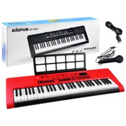 Orglice z mikrofonom 61 tipk IN0140