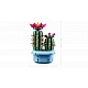 LEGO® Botanicals Cvetoči kaktus, rastlinski okras 11509