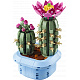 LEGO® Botanicals Cvetoči kaktus, rastlinski okras 11509