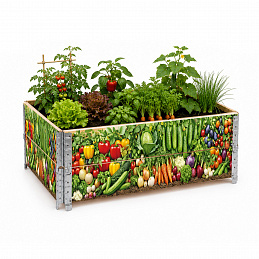 Aga Dvignjena greda 120x80x40 cm Zelenjava