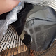 Aga Stojan ventilator 43 cm Črn 6DAZ501 - II.KAKOVOST