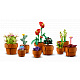 LEGO® Botanicals Drobne rastline, komplet za sestavljanje za odrasle 10329