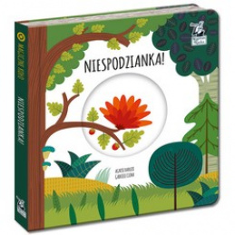 Čarobni krog kapitana znanosti. Presenečenje! KS0674