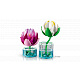 LEGO® Botanicals 11511 Lokvanja