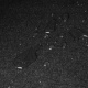 Zložljiva tekstilna garderobna omara 170x170cm Ruhhy 23740 univerzalna