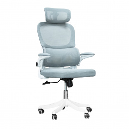 Aga Pisarniški ergonomski stol 2DAZ615 - II. Kakovost