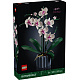 LEGO® Botanicals 10311 Orchidej