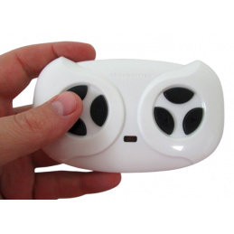 Pilot 2.4 G, Vozilo na akumulator, Dodatki, model do GTR-s