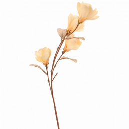 Umetna rastlina Veja Magnolije 82 cm višina krem JAKO ŽIVA