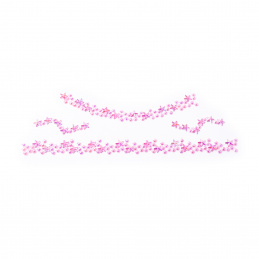 Aga4Kids Samolepilni kamenčki DS8114RB