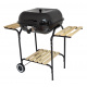 Aga Vrtni žar BBQ SK018