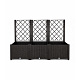Aga Vrtni korito s pergolo 120x40x135 cm Rjavo