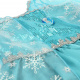 Aga Karnevalski kostum Elsa Frozen Ledeno kraljestvo 120cm