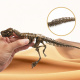 Aga4Kids Komplet za male paleontologe T-Rex