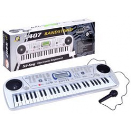 Orglice z mikrofonom MQ5407 54 tipk IN0116