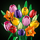 LEGO® Botanicals Šopek tulipanov, cvetlično okrasje 11501