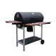 Aga Vrtni žar PROFESSIONAL BBQ 3038A