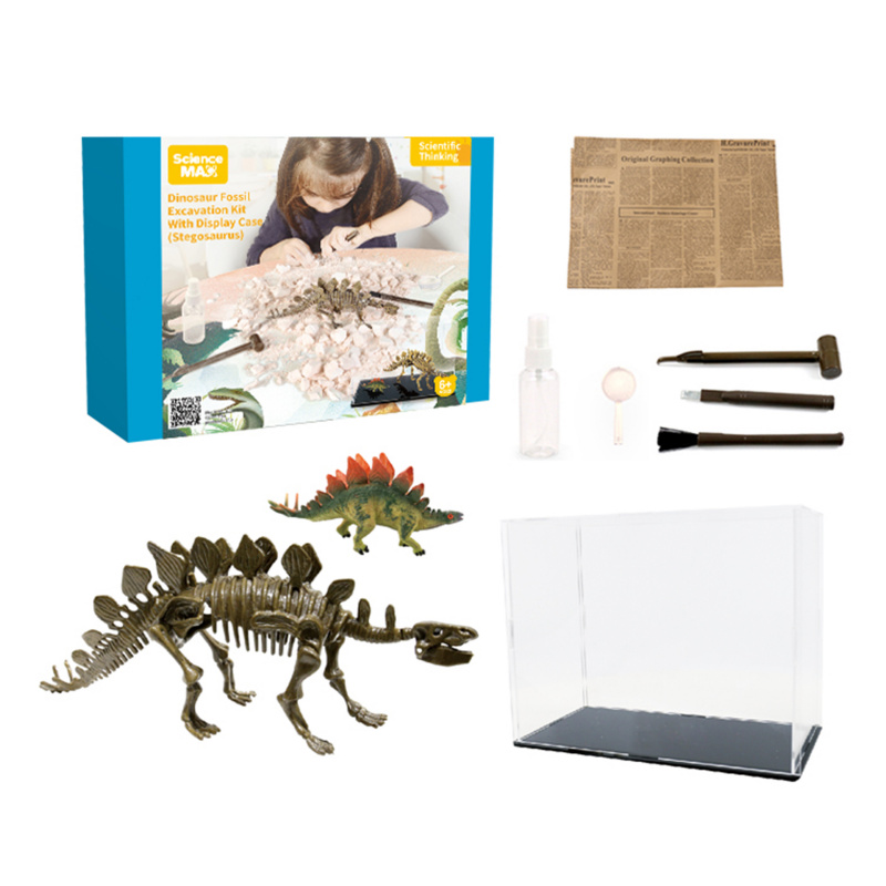 Aga4Kids Komplet za male paleontologe Stegosaver