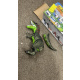 Aga4Kids Interaktivni dinozaver T-Rex - 2DZ254 - 2. Kakovost