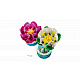 LEGO® Botanicals 11511 Lokvanja